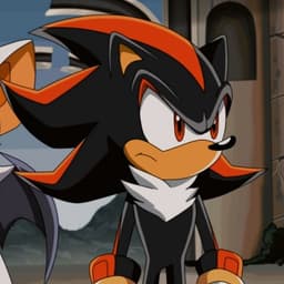 شادو القنفذه العربي