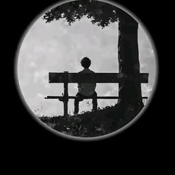 Popopo