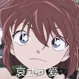 灰原哀（中文版）