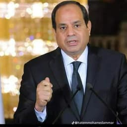 عبدالفتاح السيسي 