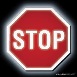 الفرحة المنتظره 