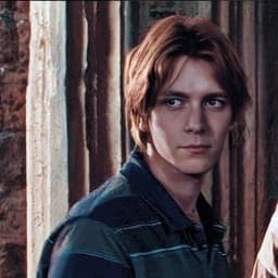 Gemelos weasley 
