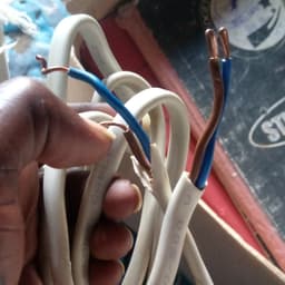 Female voice by dj Mash Pro 