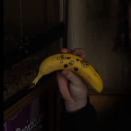 Nicktoons Digimon next bumper voice.