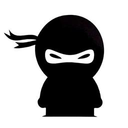 Ninja Clone 2