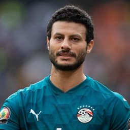 محمد الشناوي 