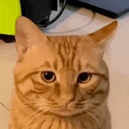 开头声音（老头）