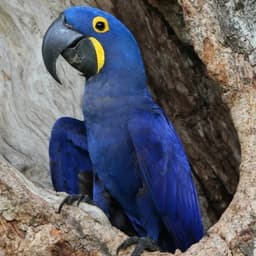 carlos eduardo espina