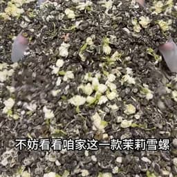 茉莉花茶