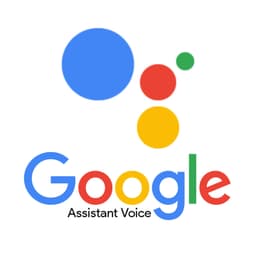 Google Assistant (2025-now)