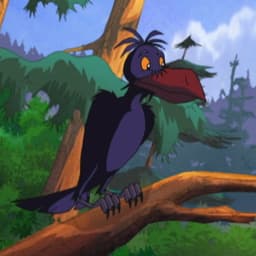 Mic-Mac The Crow (Part 2)