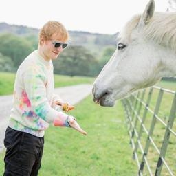 @edsheera