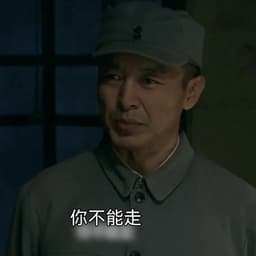 司令员