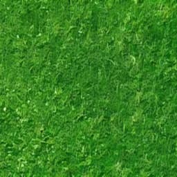 حفيظ الدراجي