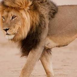Zeeshan
