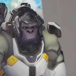 winston overwatch