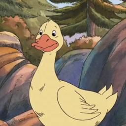 Duck