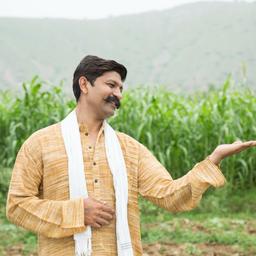 gujarati veedee