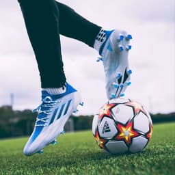 عصام الشوالي