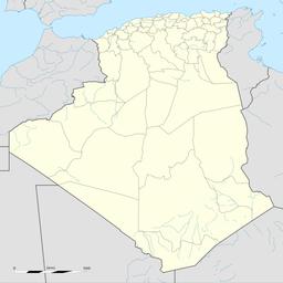 لين احمد
