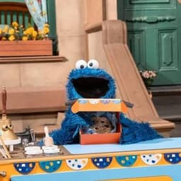 Sesame street cookie monster 2016 to present 