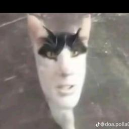 ميمينرزرز