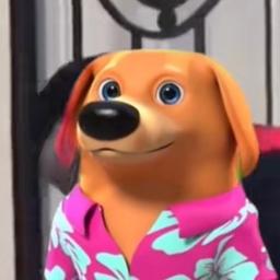 No Diddy Dog