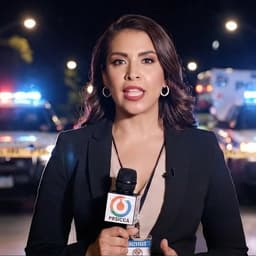 Reporter Feminina