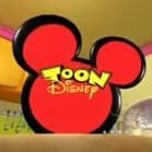 Toon Disney India Announcer (2004 - 2009)
