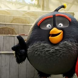 Bomb Angry Birds la Película (Español Latino)