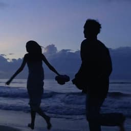 温情风格女旁白TVC品牌宣传类