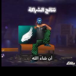 فلافيلو