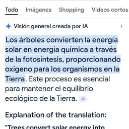 Memoria de un Caracol 