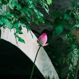 情感语录男2温柔