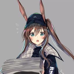 阿米娅试做一型