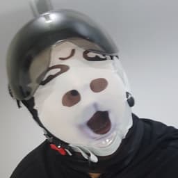 第五次声音构型北京话