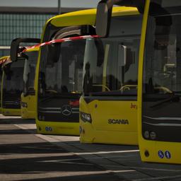 Philipa BVG