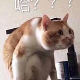 传奇-终极藏宝图