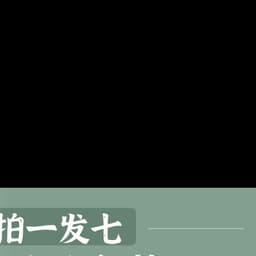 拍一发七