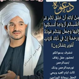 أمين الدشناوي 