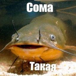 Натаха