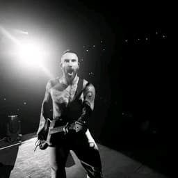 Levine 