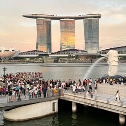 Master of Motivation