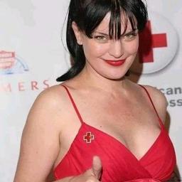 Pauley perette 