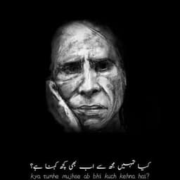 Jaun elia