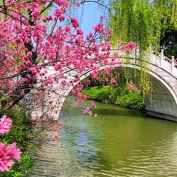 0519达人黑短袖男