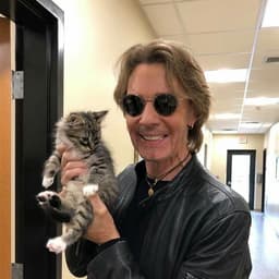 Rick Springfield 