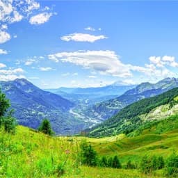 مونتي كوكب الضحك