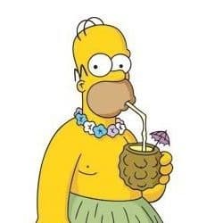 Homer Simpsons 