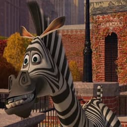 Marty español Latino